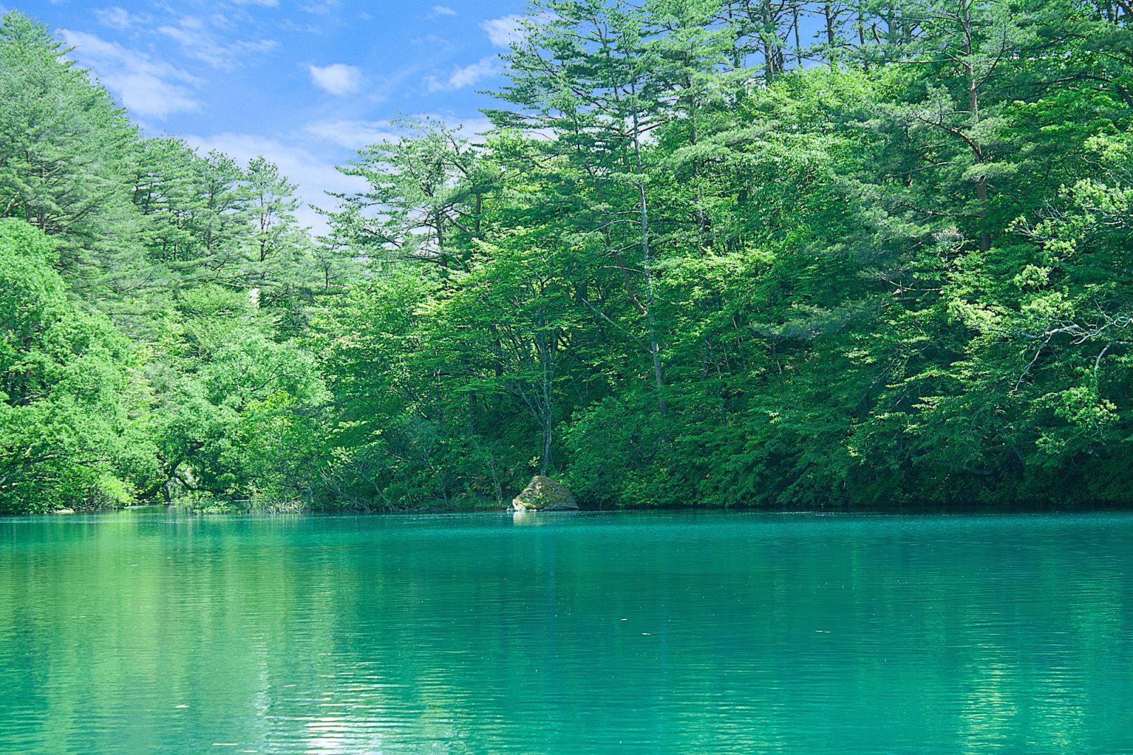 旅游信息&活动高层|里磐梯美居温泉度假酒店 