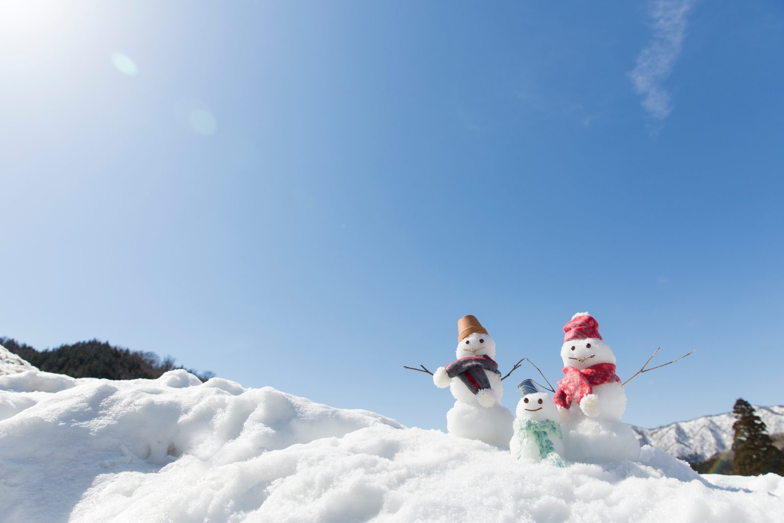 【寒假也是对象!】1周年纪念家庭特别篇/小学生以下免费计划