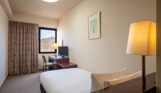 Classic Room with 1 single bed