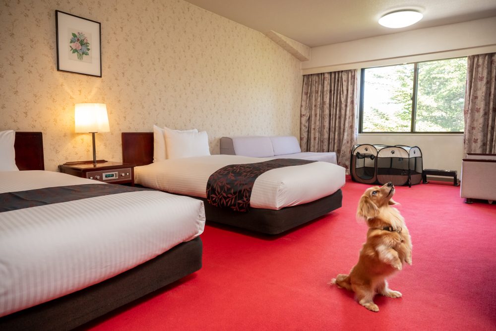 Room Image | Mercure Urabandai Resort & Spa