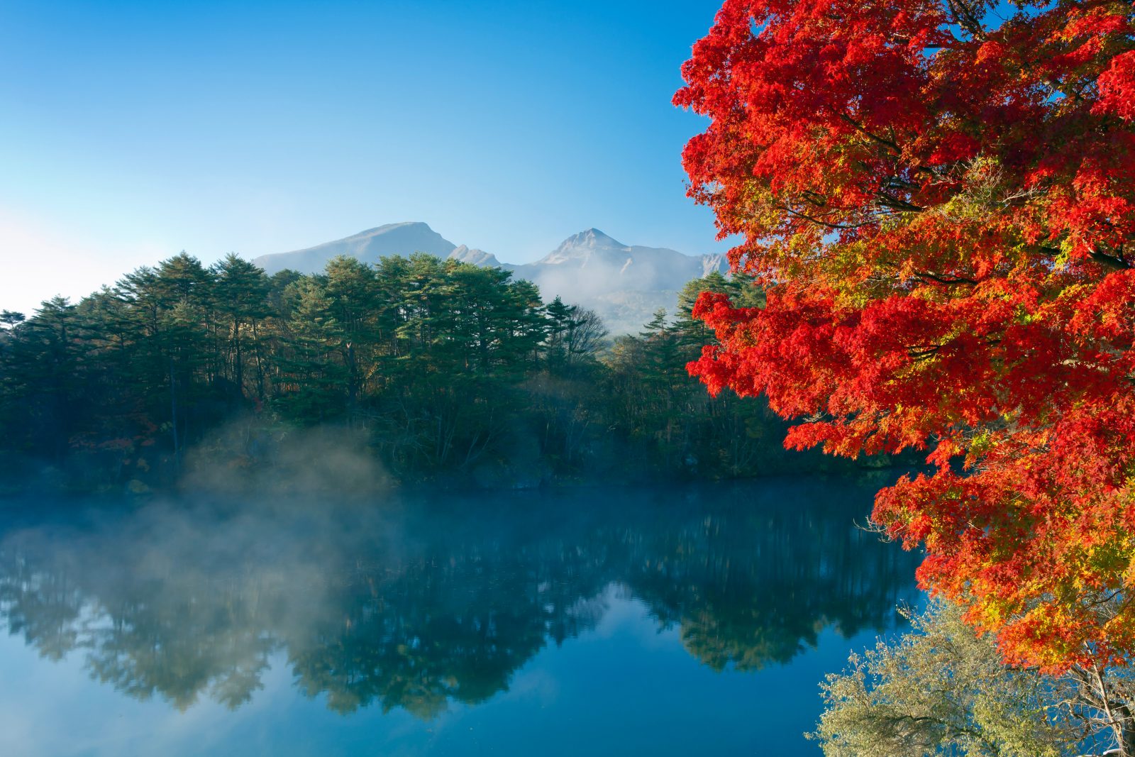 Autumn Bishamon Swamp