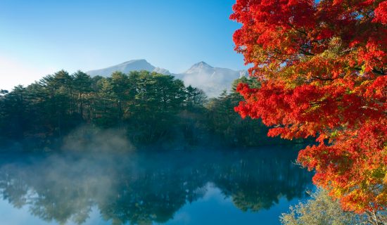 Autumn Bishamon Swamp