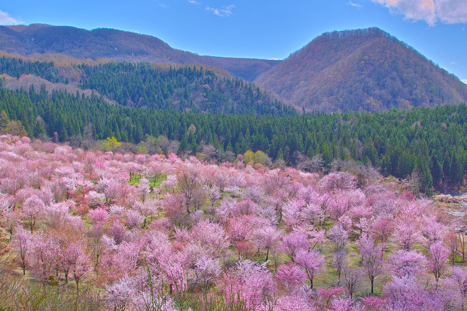 Main visual image | Mercure Urabandai Resort & Spa