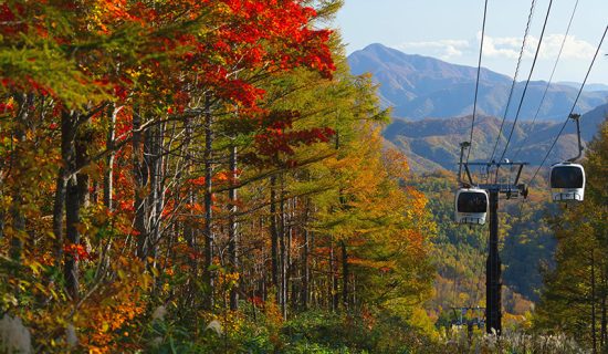 Grandeco Ropeway