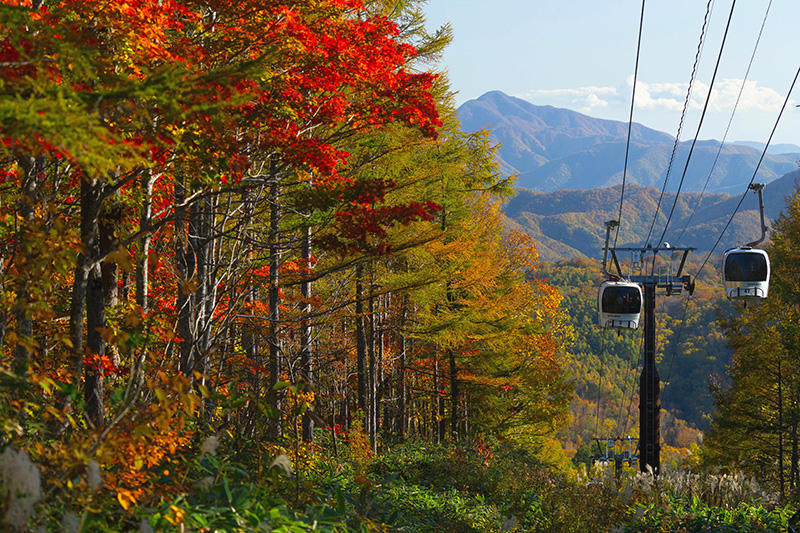 Grandeco Urabandai Ropeway