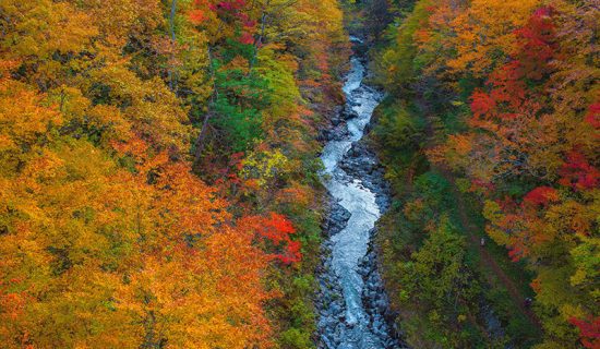 Photo Gallery| Mercure Kyoto Miyazu Resort & Spa