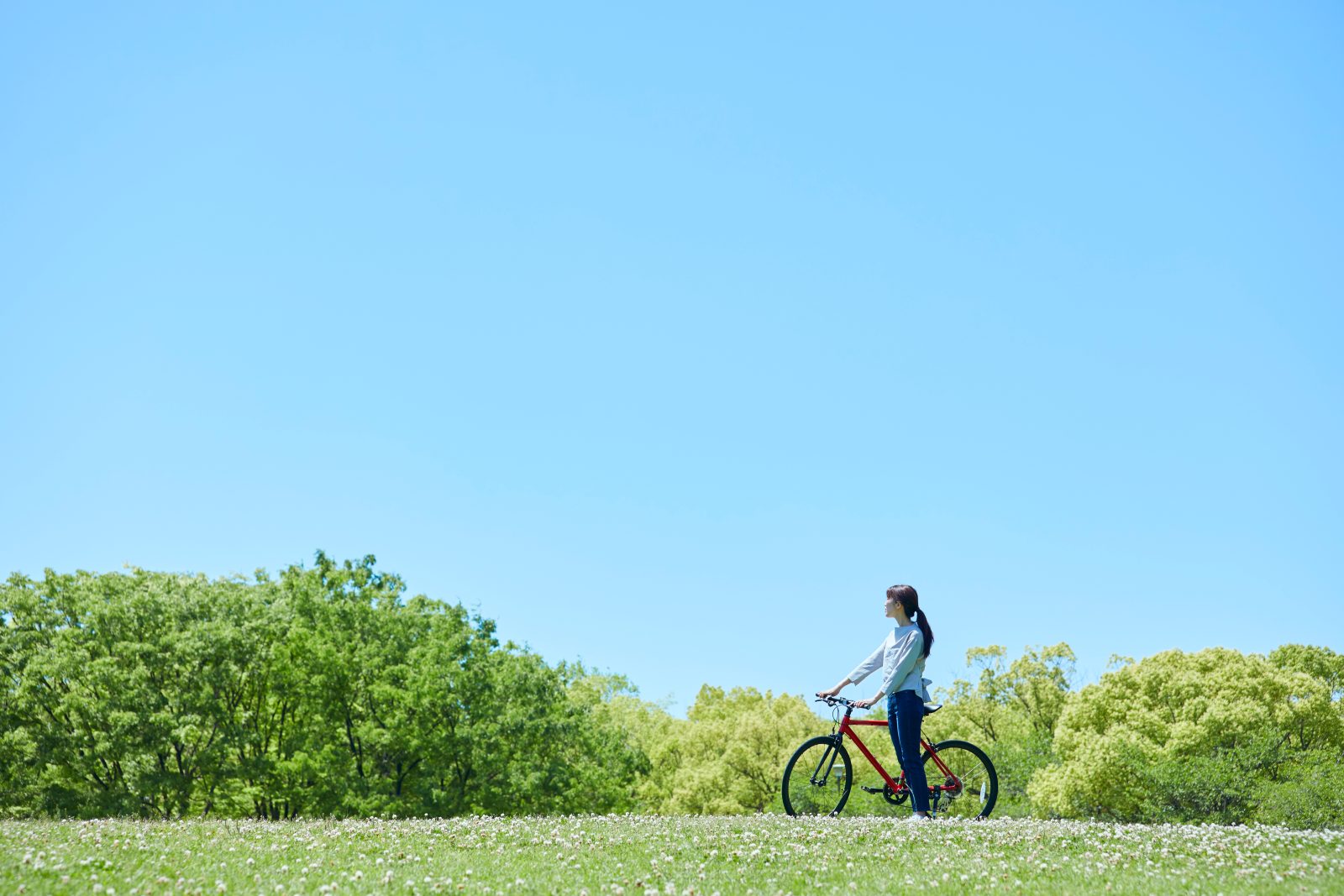Rental cycle