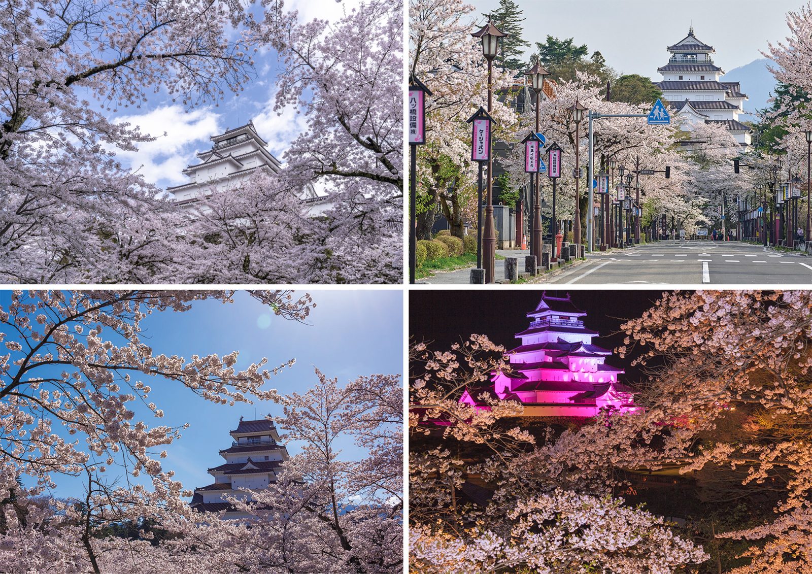 Tsuruga-jo Castle Park