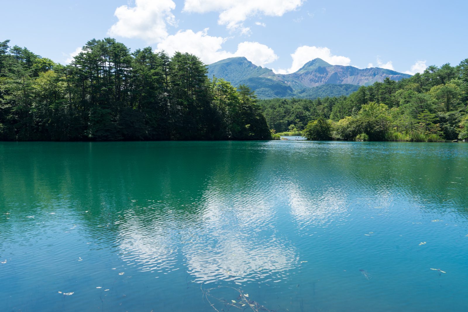 主要視覺形象|裏磐梯美居溫泉度假酒店 