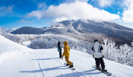 貓媽媽山印象