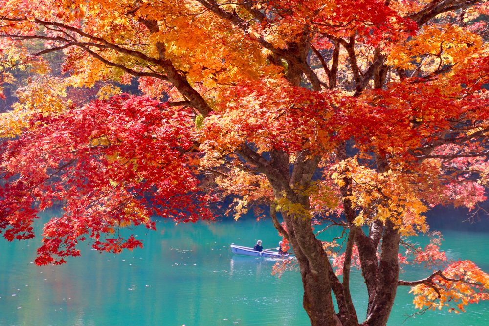 裏磐梯周辺のおすすめ紅葉スポット
