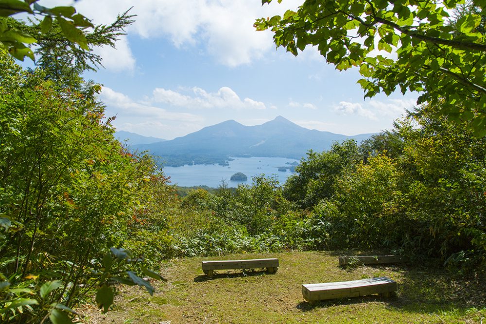 绿色季节-GREEN URABANDAI-