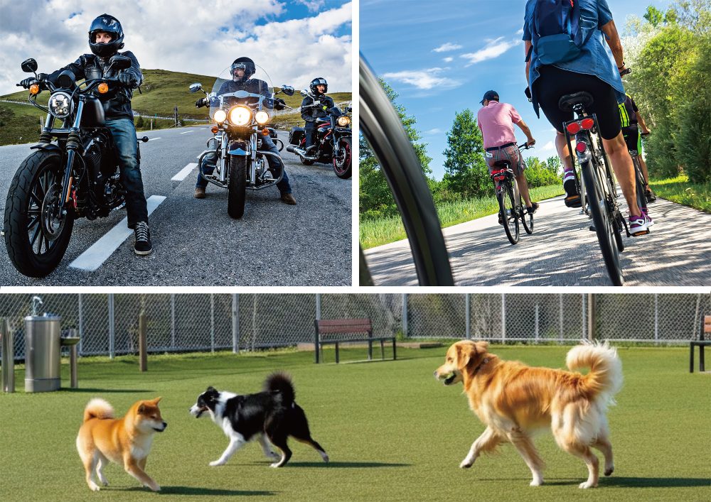 Green Season - Green Urabandai